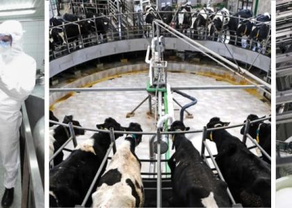 Standardisierte Dichtungslösungen für Homogenisatoren